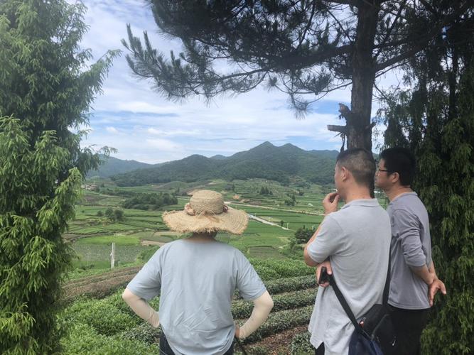 如何在石材雕塑中融入深厚的文化底蘊