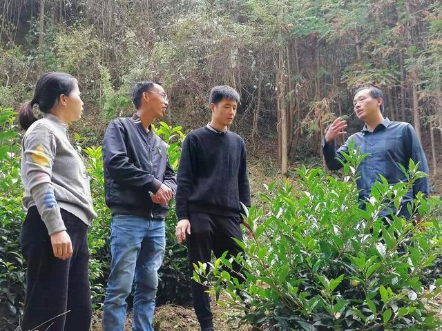 如何通過玻璃鋼雕塑提升現代藝術空間的藝術感