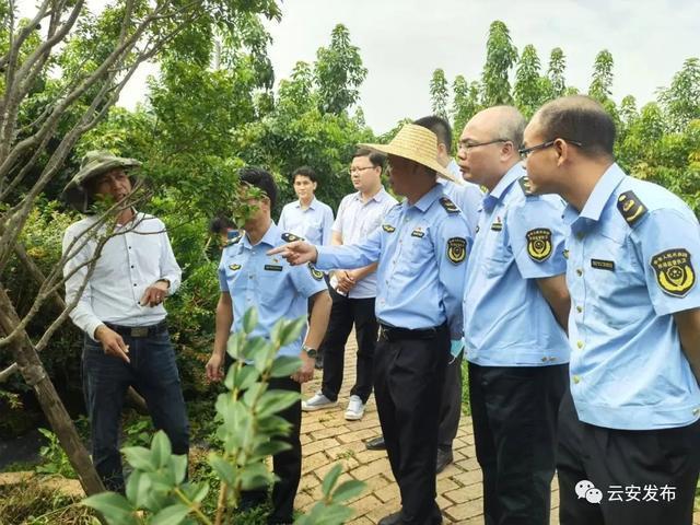 園林雕塑與植物搭配技巧打造自然和諧美麗景觀