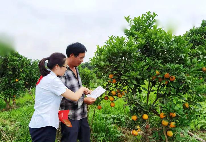 解讀石材雕塑的歷史傳承與文化深意