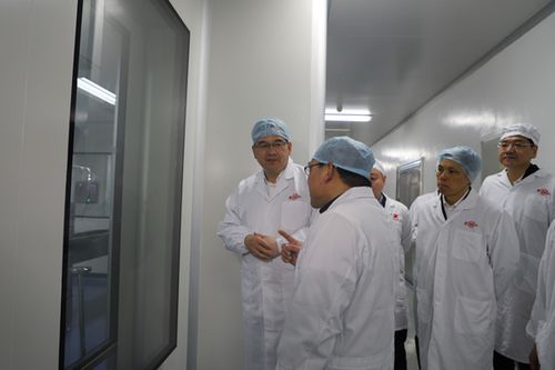 浮雕景墻設計理念與技巧運用創造獨特景觀氛圍