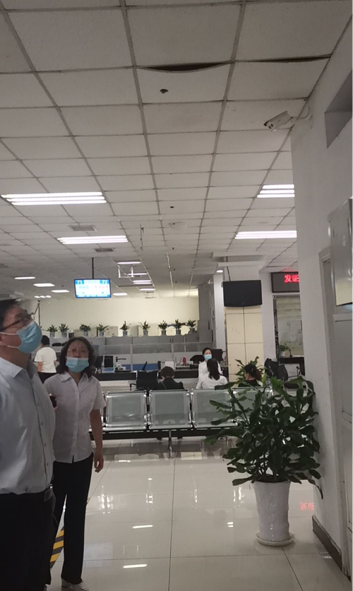 園林雕塑材質選擇對景觀美學的多樣化影響與技巧