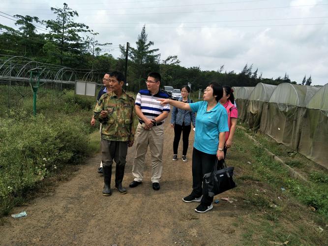 創意鑄鍛銅雕塑設計讓傳統藝術框架煥然一新